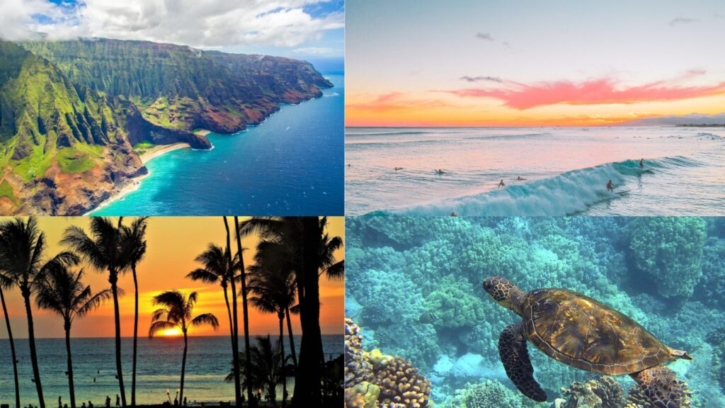 beautiful-view-island-beach-mountain-turtles-coconut-trees-costco-travel-hawaii